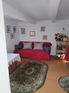 Casa de vânzare in Avram Iancu - foto 6