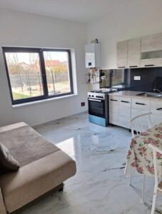 Casa de vânzare zona Kaufland Cetate - foto 4