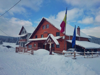 cabana-surianu-de-vanzare-