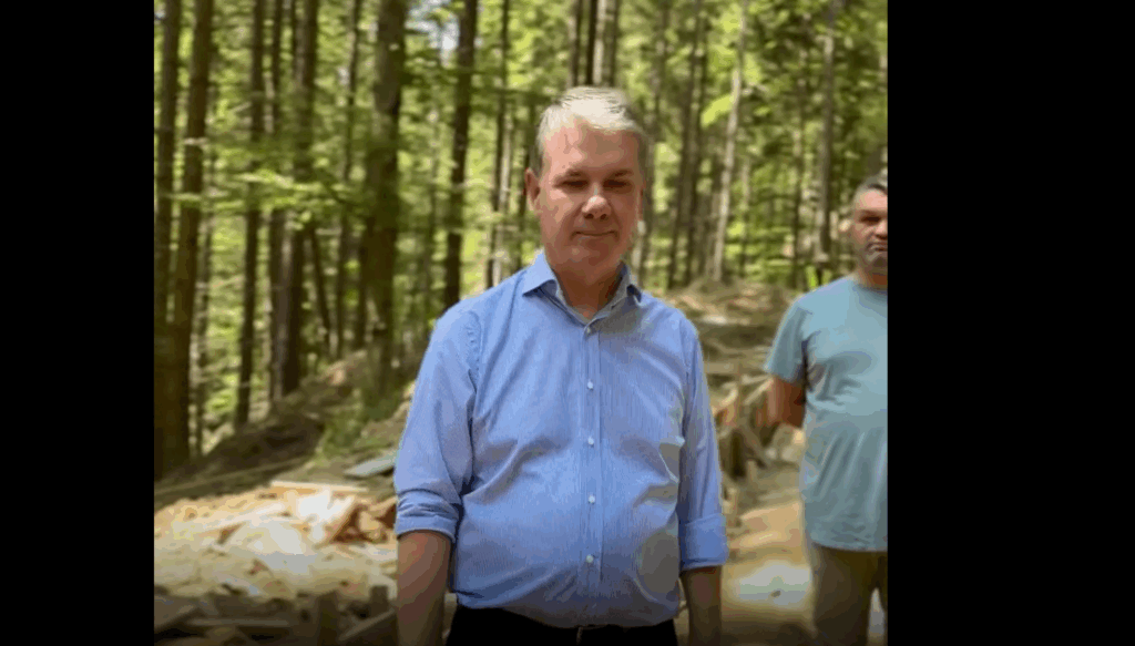 Brașovul dă exemplu României: proiect unic, un sanctuar de 62 de hectare pentru 70 de urși la Brașov post thumbnail image