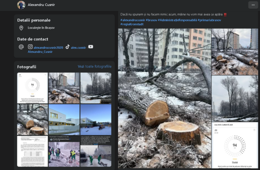 Alexandru Cusnir: În Brașov, copacii dispar rând pe rând, sub pretextul „tăierilor autorizate”