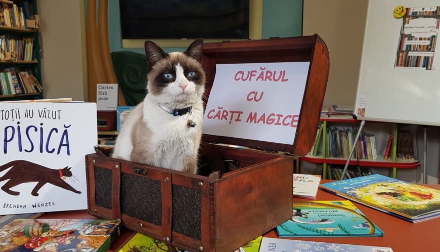 Maraton de lectură, la Sebeș, în luna februarie. După succesul cățelușei bibliotecare, „cu toți au văzut… o pisică”