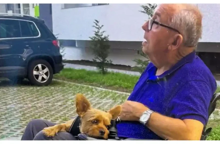 Vârstnicul în vârstă de 81 de ani, dat dispărut de familie a fost găsit