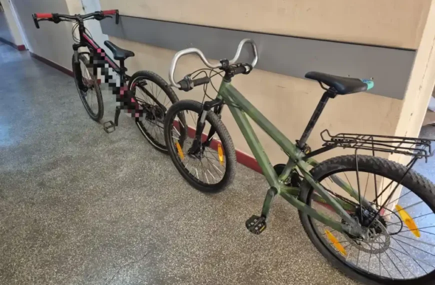 Bărbat din Alba, reținut de polițiști pentru furt. A sustras două biciclete din scara unui bloc