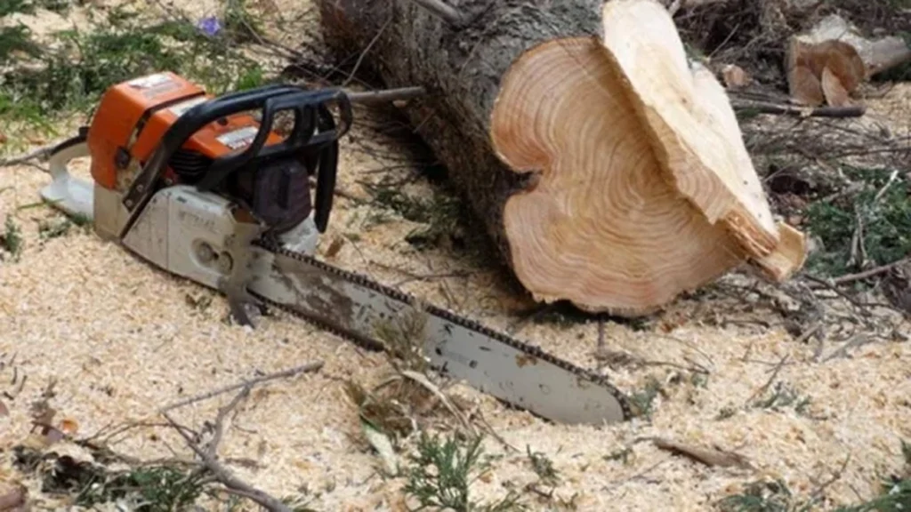 Bărbat din Sebeș, decedat după ce s-a tăiat cu o drujbă post thumbnail image