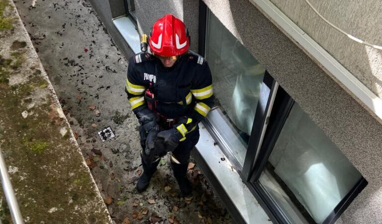 Pui de pisică salvat de pompierii din Alba