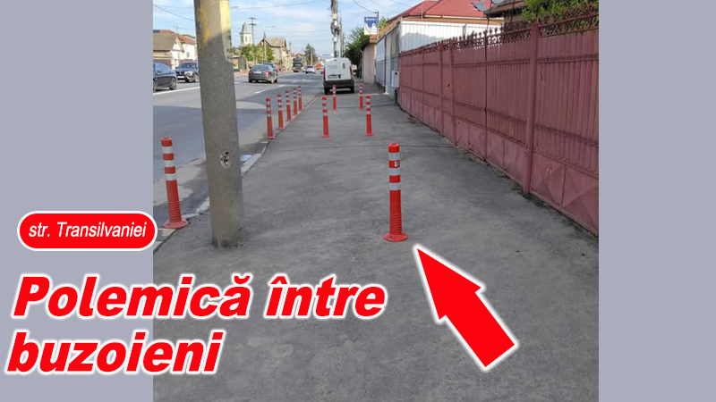 Comunitatea Buzoienilor Reactionează la Schimbări
