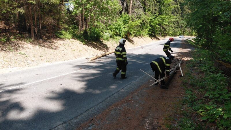Incident pe DN 13B: copac căzut pe mașină