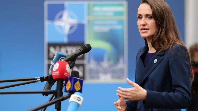 Oana Țoiu la Bruxelles: Dezbaterea bugetului european