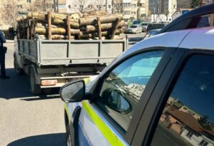 Poliția descoperă depozit ilegal de lemn în Zărnești: peste 30 de metri cubi confiscate post thumbnail image