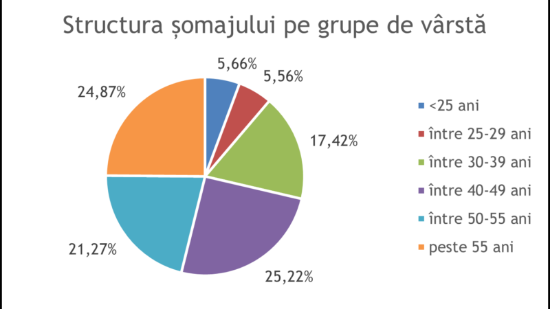 Șomajul în Vâlcea: o analiză detaliată