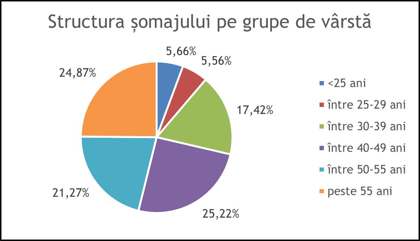 Șomajul în Vâlcea: o analiză detaliată