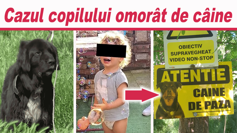 Tragedie la Limpeziș: Un copil de 4 ani ucis de un câine