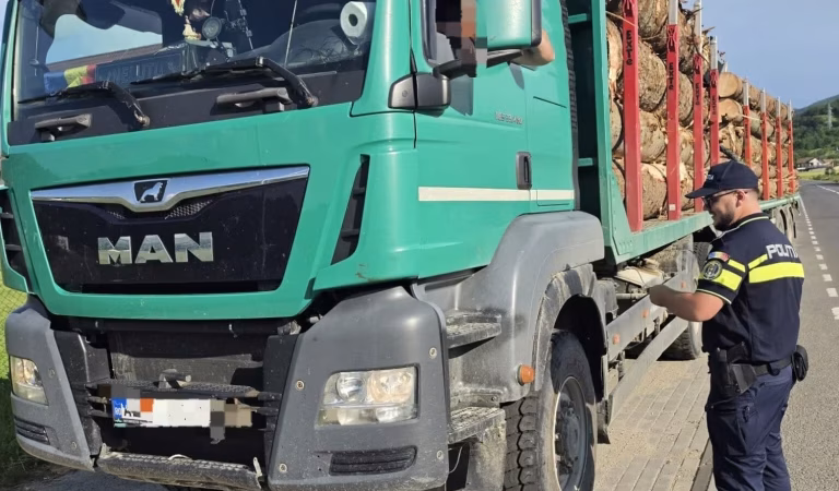 Controale pentru prevenirea și combaterea tăierilor ilegale de arbori. Amenzi de peste 120.000 lei