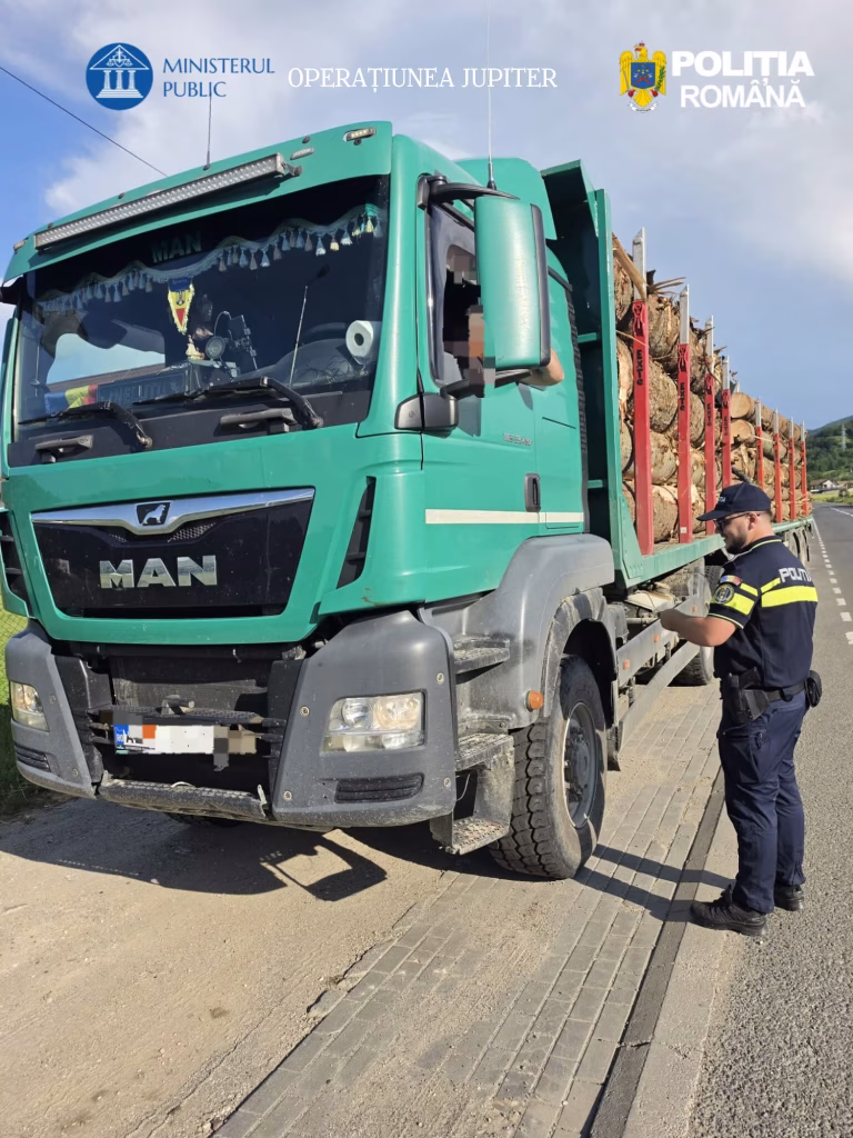 Controale pentru prevenirea și combaterea tăierilor ilegale de arbori. Amenzi de peste 120.000 lei