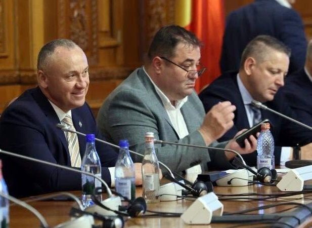 Deputatul Eugen Neață: Legi pentru IMM-uri