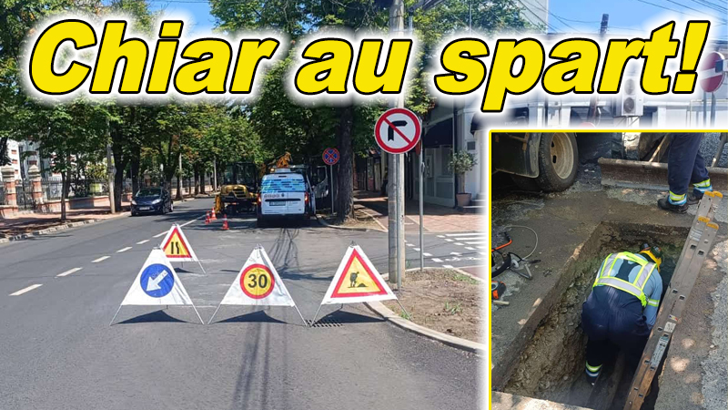 Gazele, o pacoste pentru drumurile asfaltate