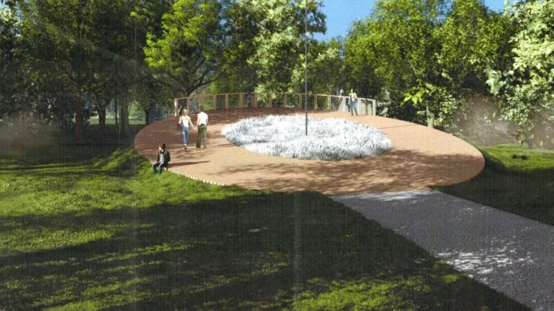 Parcul Dendrologic Ciumbrud: Oaza Verde a Aiudului