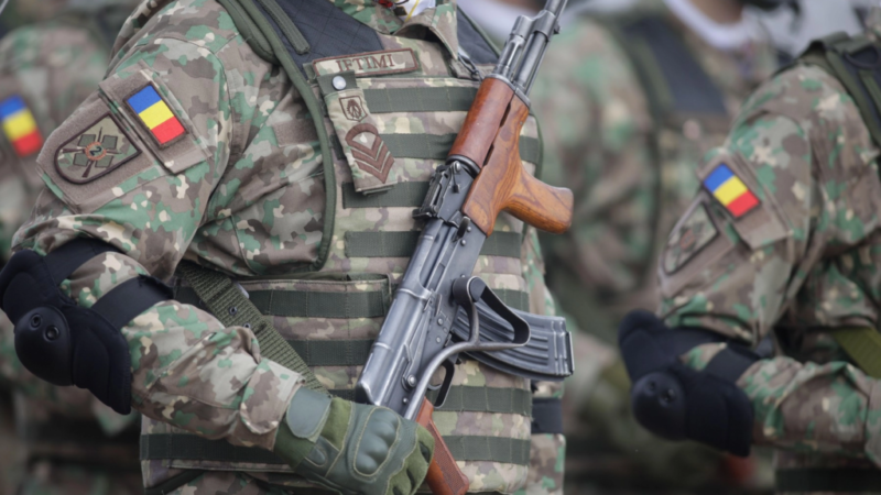 Piperea respinge ideea serviciului militar obligatoriu