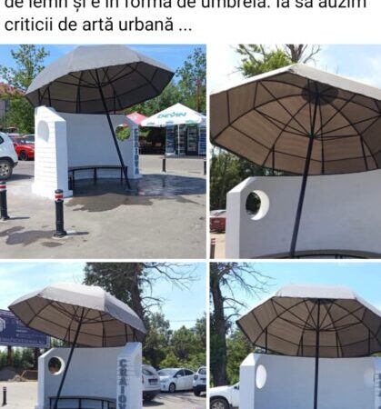 Primarul Craiovei, Lia Olguța Vasilescu, ironizează criticii mobilierului urban