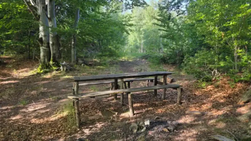 31 Iulie | Sărbătoarea Globală a Rangerilor: Apărătorii de Frunte ai Biodiversității