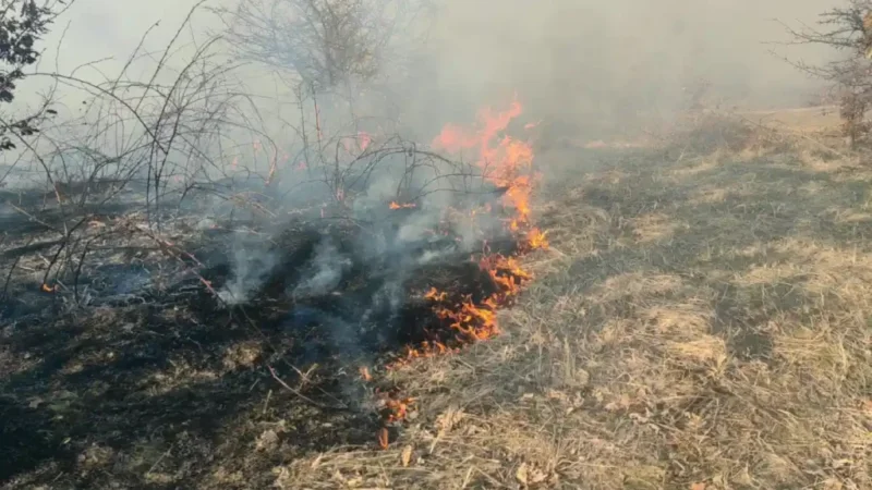 Actualizare | Incendiu în Lopadea Nouă: Vegetație uscată în flăcări pe 6.000 de metri pătrați