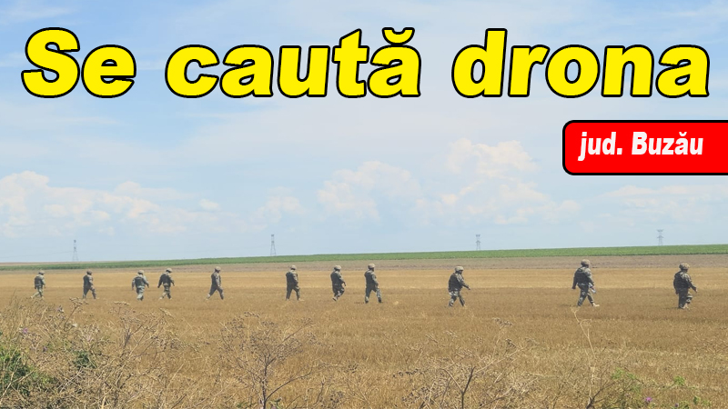 Drona doborâtă: Identitatea misterioasă