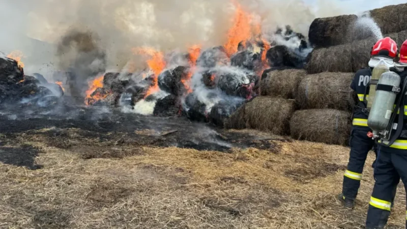 Flăcări la Petrești: Intervenție a pompierilor din Sebeș pentru baloți de paie în flăcări