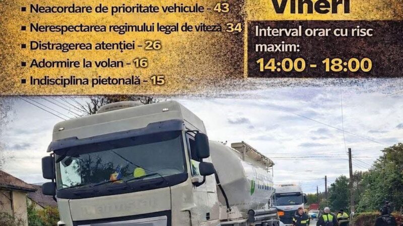 Poliția sub Supraveghere: Acțiune de Releu pe DN 7