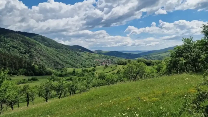 Previziuni meteo pentru Transilvania până pe 2 august 2026: Scădere termică la mijlocul săptămânii, urmată de revenirea temperaturilor peste 30 de grade