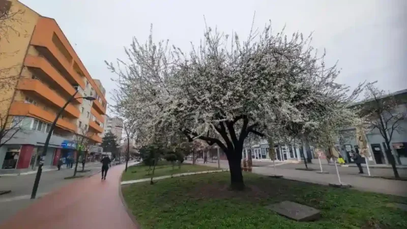 Primăria Alba Iulia introduce restricții pentru afișajele comerciale: Proiect în dezbatere publică