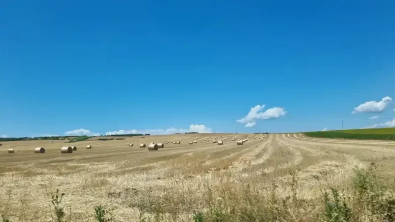 Prognoza meteo pentru România până la jumătatea lunii iulie 2026: De la temperaturi normale și instabilitate atmosferică la zile toride