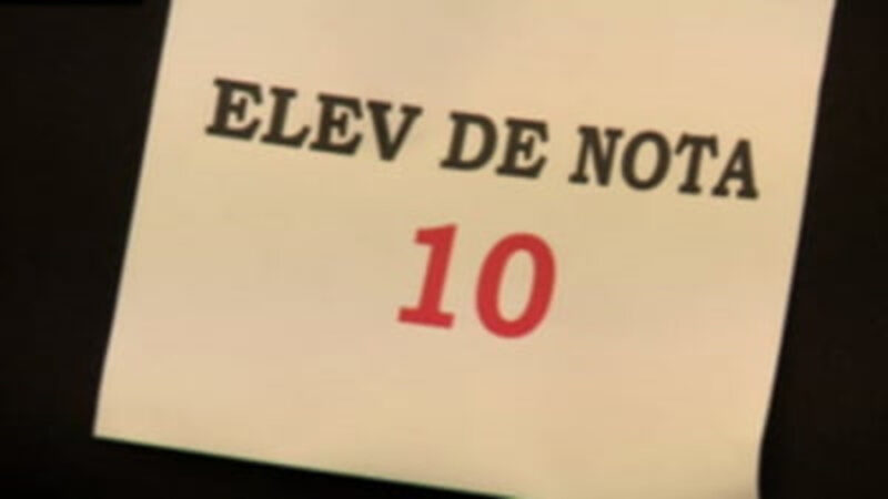 Rezultate Bacalaureat 2026: Un singur 10 la Vâlcea