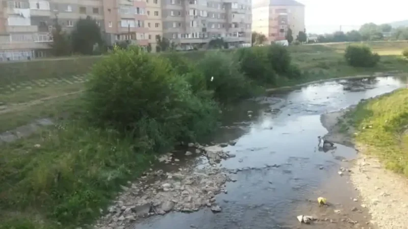 Soți condamnați pentru agresiune după un incident legat de urinatul în public: Decizie la Judecătoria Alba Iulia