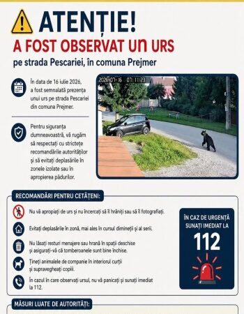 Urs observat pe strada Pescăriei în comuna Prejmer