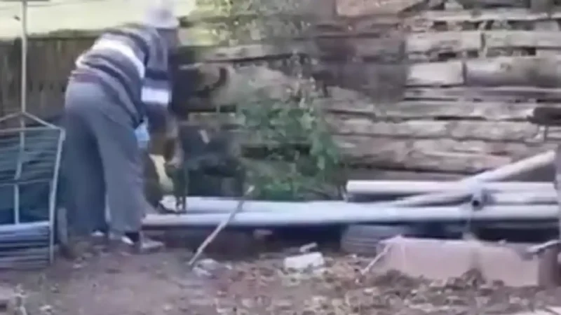 VIDEO | Act de cruzime în Alba: Un bătrân a omorât o pisică și i-a aruncat trupul peste gard