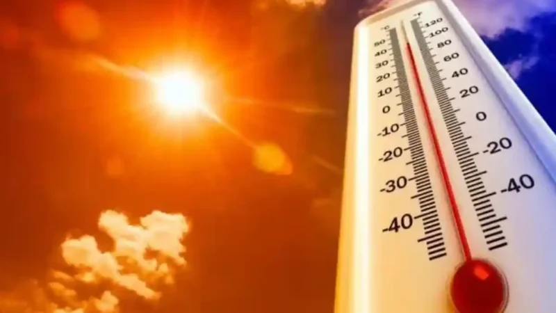 4-6 august 2026 | România suferă sub arșița de peste 40 de grade: Cod portocaliu în Alba și alte regiuni, cod roșu în vestul țării