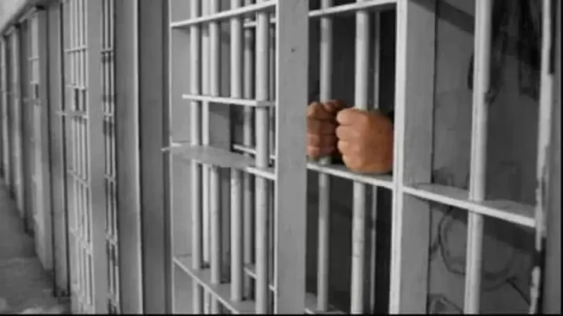 Bărbat din Berghin, deținut sub mandat de arestare preventivă, prins de poliție: Acuzat de infracțiuni economico-financiare