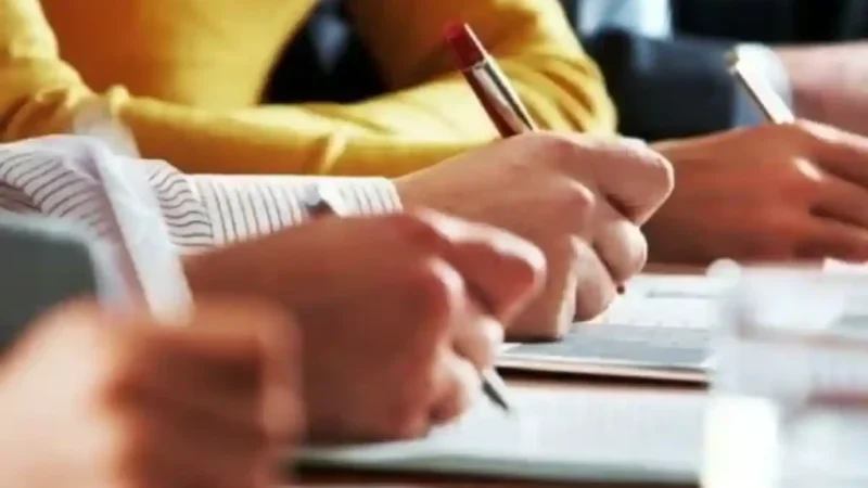 Certificatul de Integritate Comportamentală: Detalii și Obligații la Angajare. Disponibil și Online