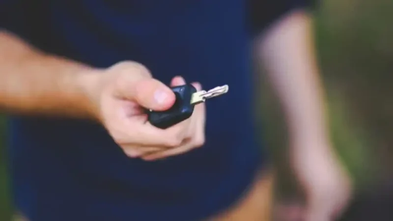 Documentele esențiale care pot preveni o zi pierdută – adesea neglijate de șoferi