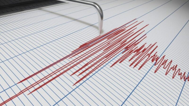 Două seisme au zguduit noaptea trecută zonele Vrancea și Buzău