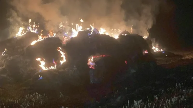 Flăcări Mistuitoare în Bucerdea Grânoasă: Baloți de Paie cuprinsi de Incendiu