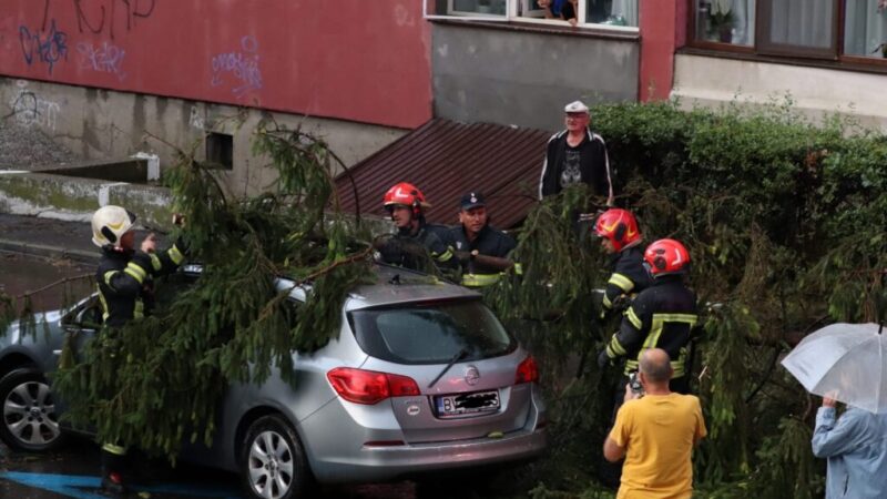 Furtunile puternice lovesc Brașovul: copaci prăbușiți și garaje inundate