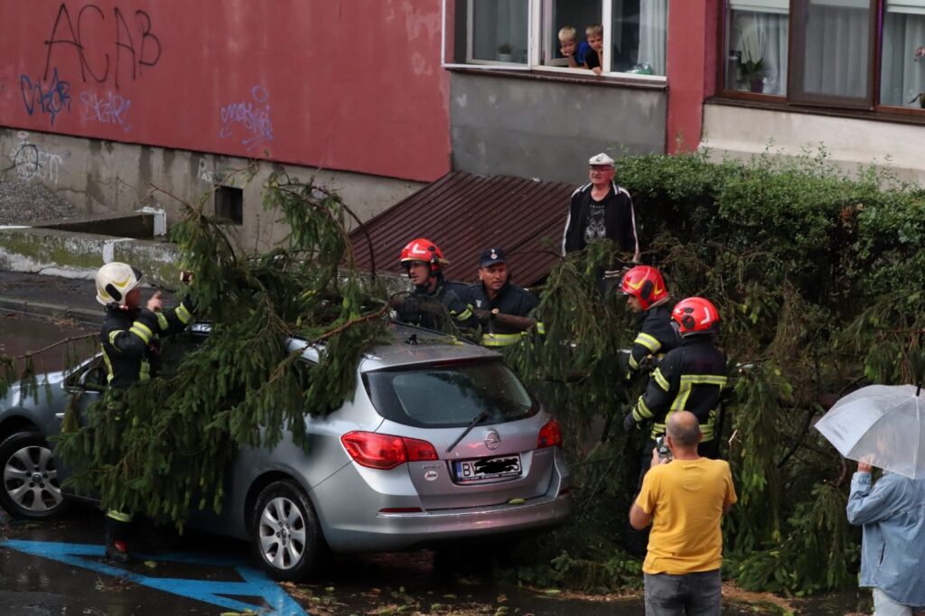 Furtunile puternice lovesc Brașovul: copaci prăbușiți și garaje inundate