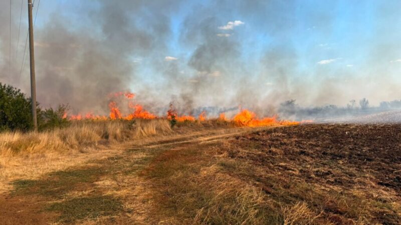 Incendii devastatoare în Dolj