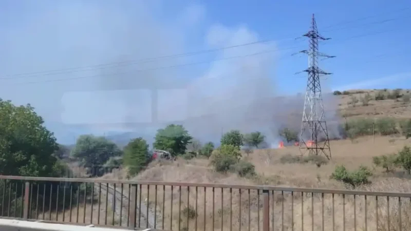 Intervenție promptă a pompierilor la incendiul de vegetație uscată din Șard
