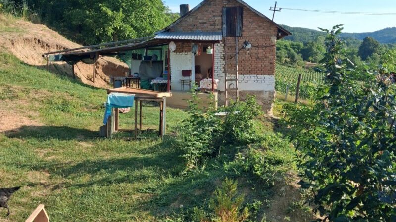 Oportunitate imobiliara in mijlocul naturii