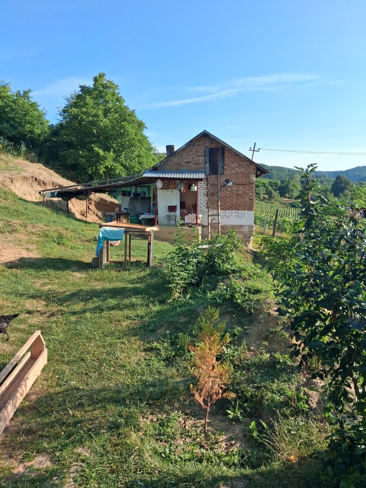 Oportunitate imobiliara in mijlocul naturii