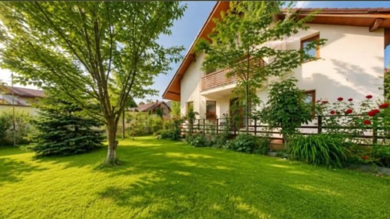 Proprietate de Vânzare în Brașov: Casă Modernă cu 5 Camere și Teren Generos