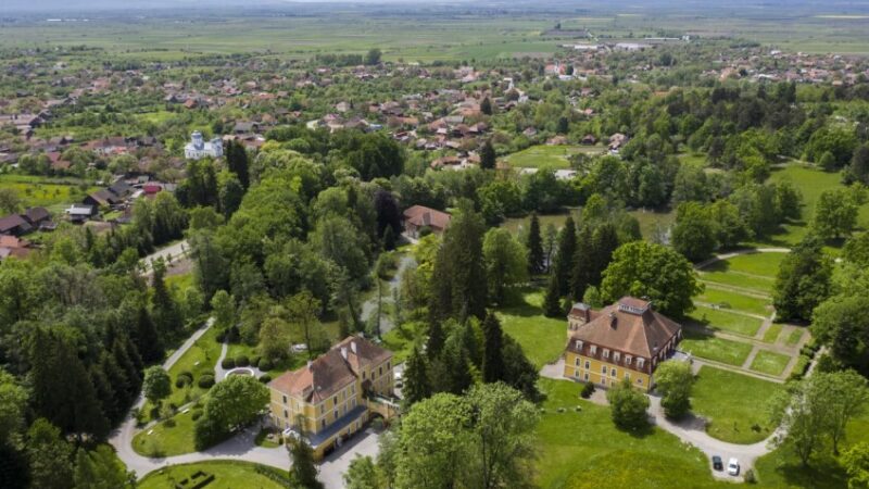 Recitalul lui Alexandru Tomescu și evenimente culturale diverse la Festivalul „Kuriozum” de la Castelul Mikes